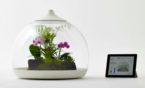 Biome Terrarium mit iPad Anschluss
