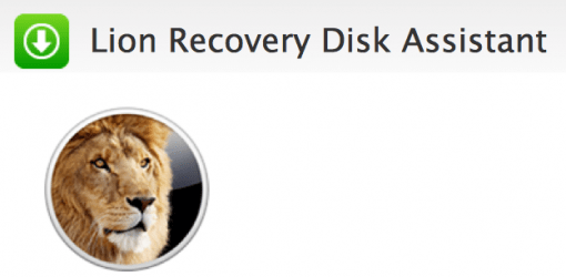 Lion Recovery Assistant 510x250