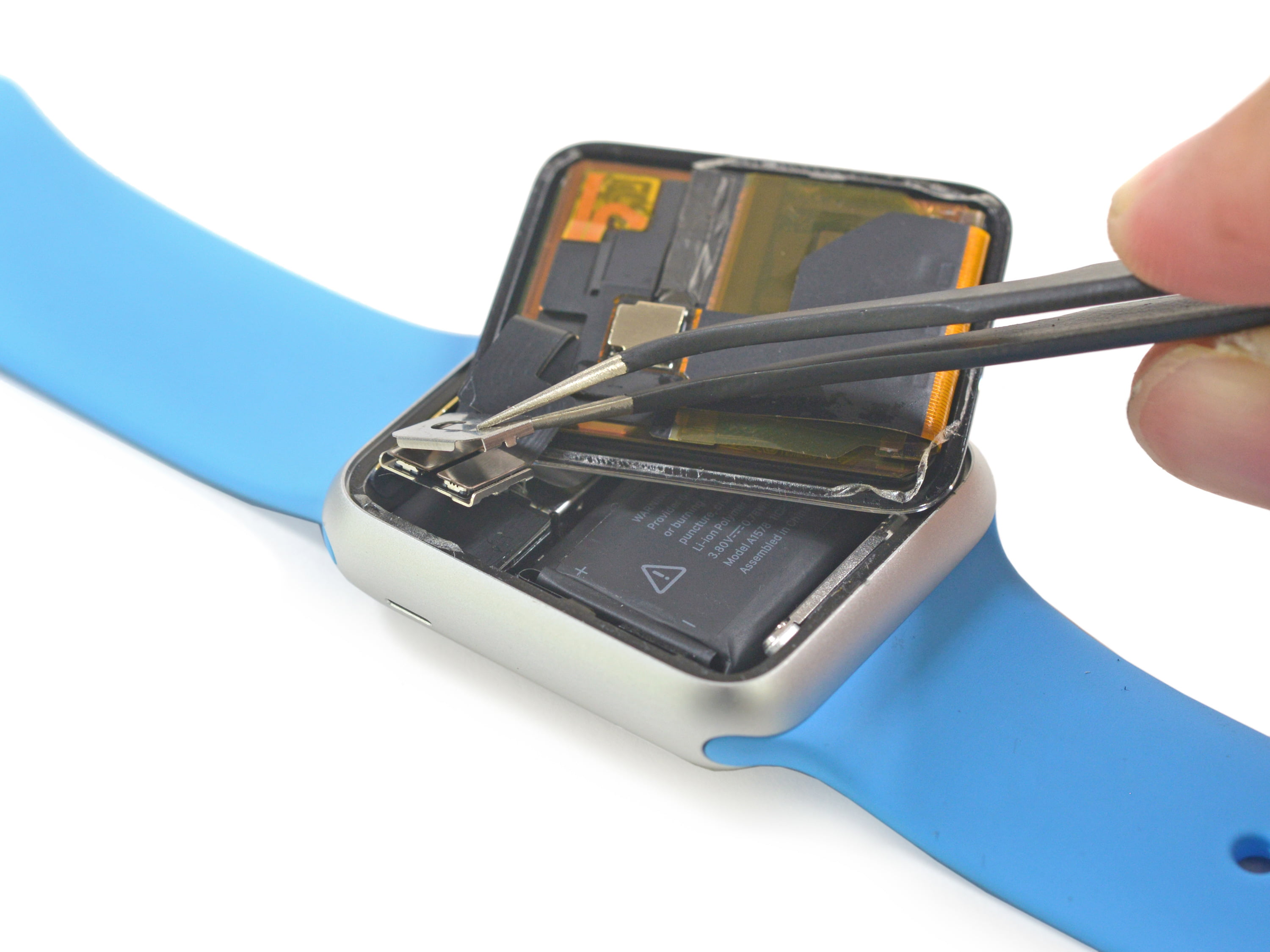 Apple Watch Disassembly1