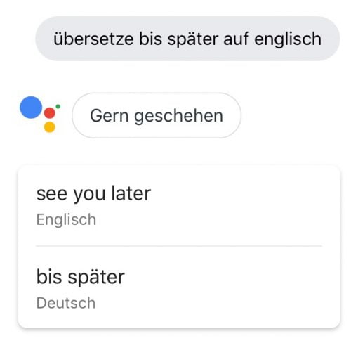 Google Assistant Übersetzung