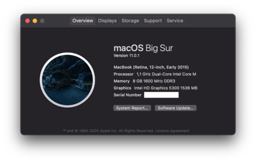 macOS 11 Big Sur MacBook 12