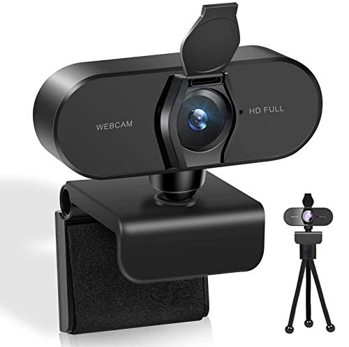 38992 9 webcam mit mikrofon fuer pc w